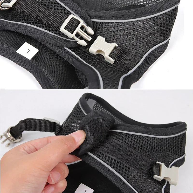 Puppy Harness Set. Adjustable Puppy and Cat Harness Vest. Small Dog Collar Pet Leash