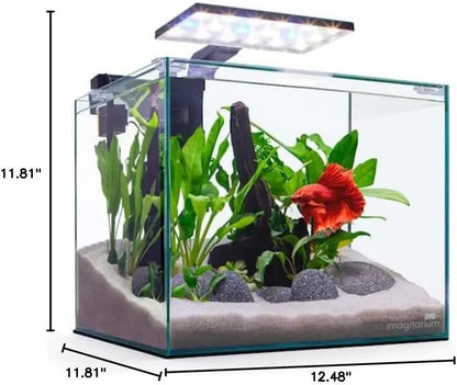 5-Gallon Frameless Glass Betta Aquarium Kit with LED Lights and Filter