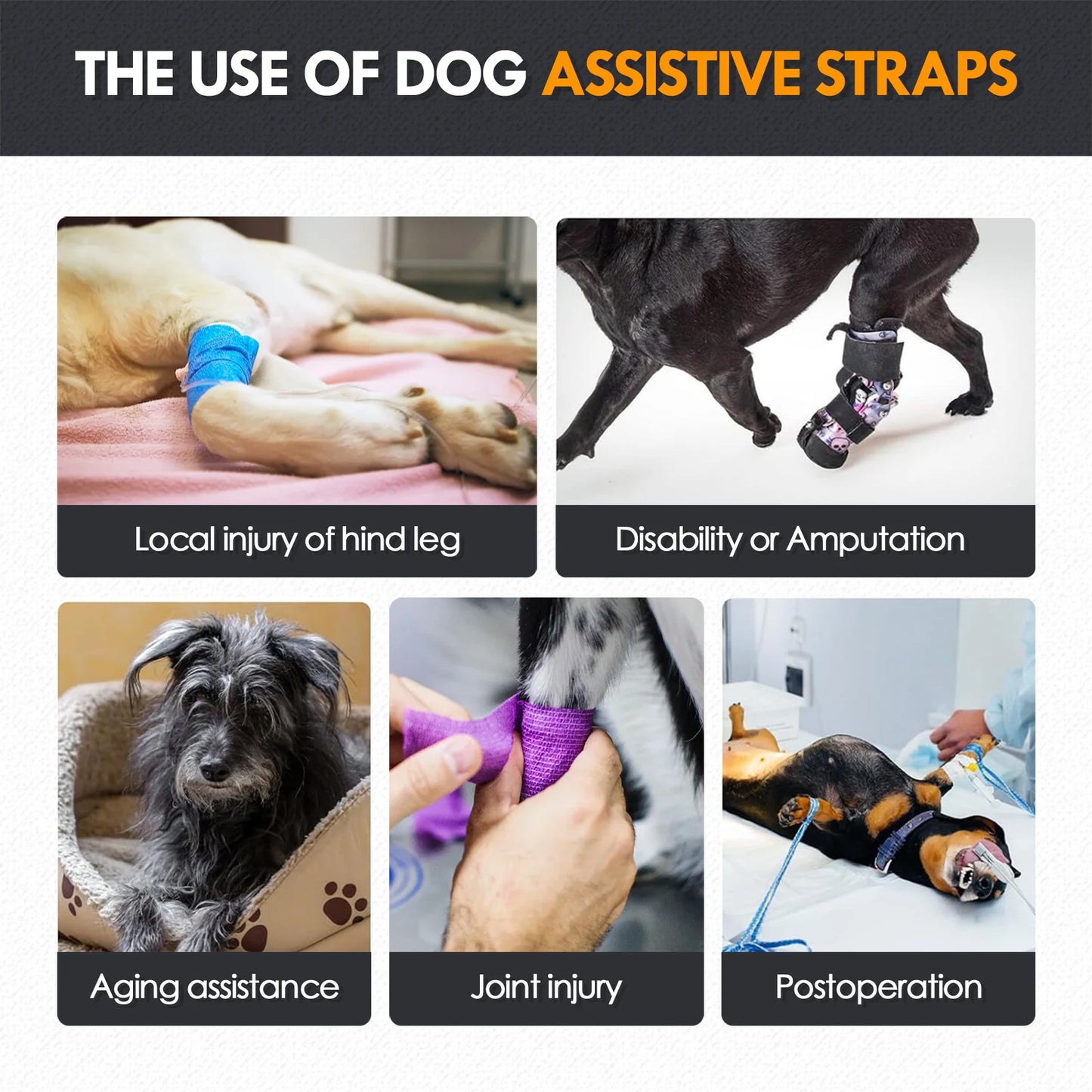Dog Sling for Large Dogs. Hind Leg Support to Help Rehabilitate The Hind Limbs of Elderly Dogs with Weak Hind Legs & Disabilities