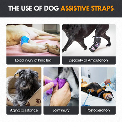 Dog Sling for Large Dogs. Hind Leg Support to Help Rehabilitate The Hind Limbs of Elderly Dogs with Weak Hind Legs & Disabilities