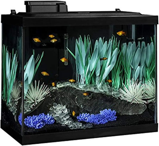 20 Gallon Aquarium Kit with Color-Changing LED Lights, Filter, Heater, and Decor for Fish Tank Setup