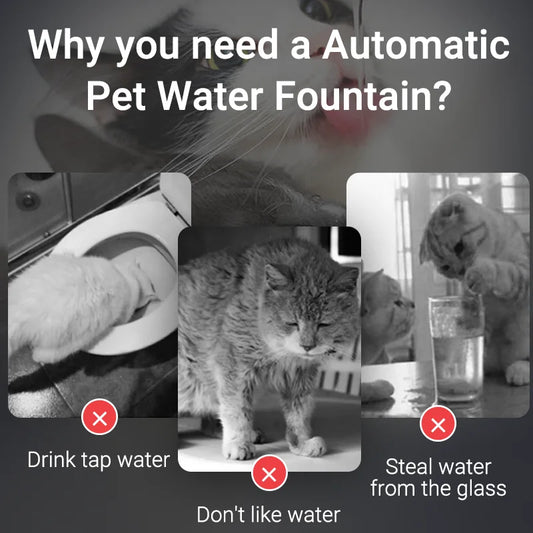 Automatic Cat Water Fountain. Rechargeable Cat Water Dispenser for Pet Dogs and Cats. Smart Drinking Filter with Pump.