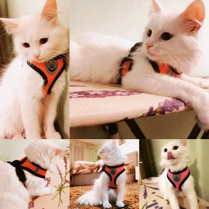 Cat Harness Vest. Walking Lead Leash For Puppies & Cats. Collar Polyester. Adjustable Mesh Harness For Small Medium Pets