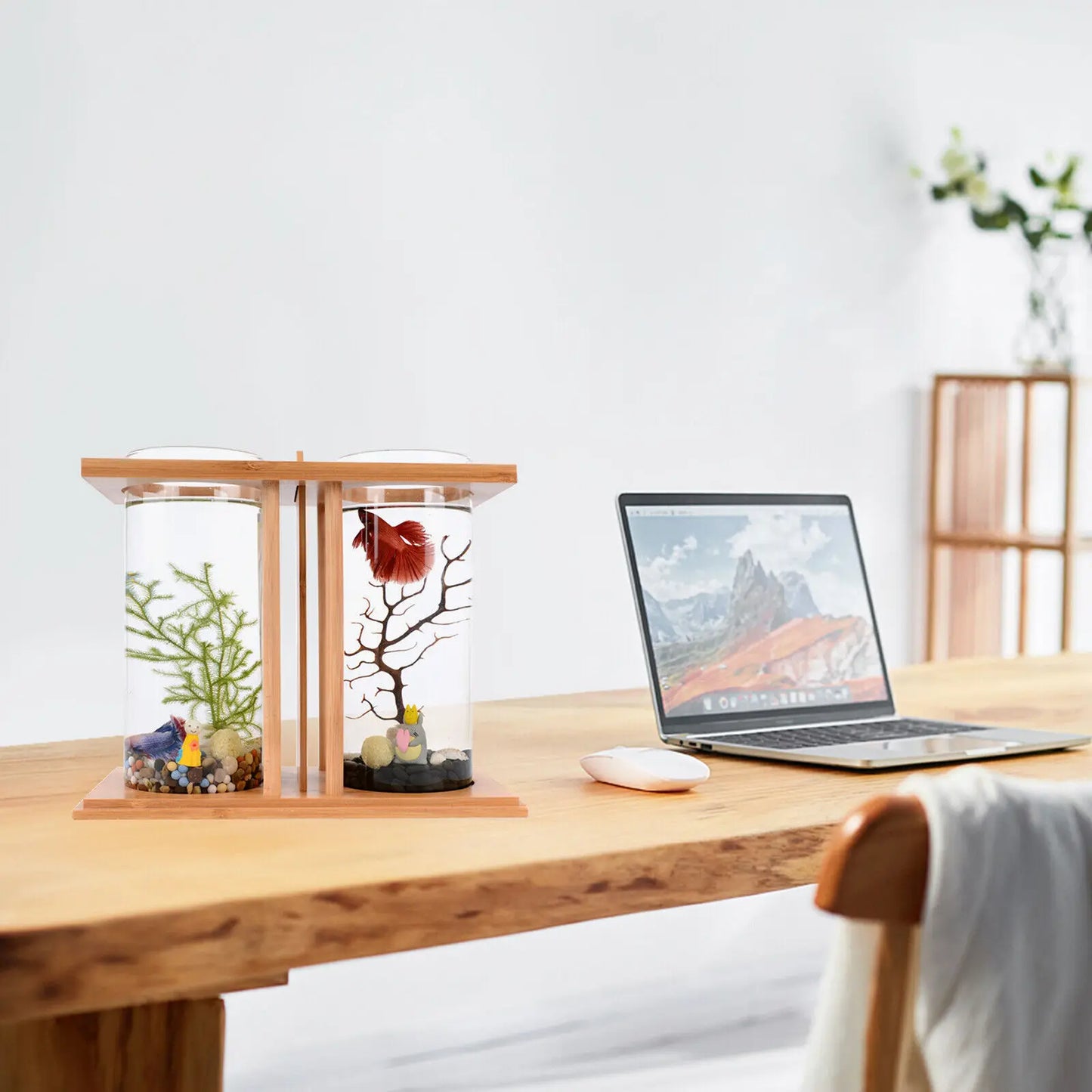 Glass Betta Fish Tank with LED Light. Bamboo Base ,Mini Aquarium Set for Desktop Home Office Decoration 2 Tanks