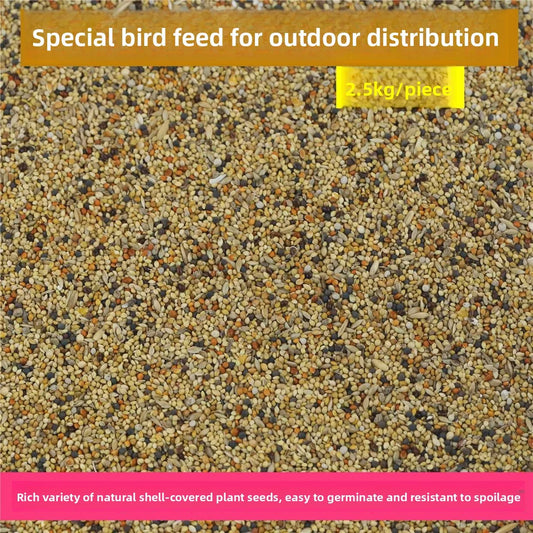 Wild Bird Seed, Small Size. Natural Wildfield Sparrow Food Grain for Wild Bird Feeding. Special Grain Food for Birds