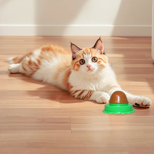 5/10Pcs Catnip Wall Ball. Cat Nip Treats. Lickable Pet Catnip. Candy Ball for Help with Digestion