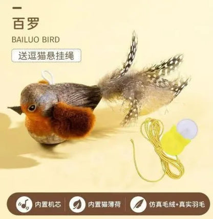 Bird Cat Toys. Indoor, Interactive Cat Toy for Cats. Chasing, Teasing, Sounding Toy. Catnip Cat Teaser Toy.  Wall Hanging