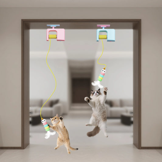 Popular new interactive electric cat toys for hanging inside doors. Automatic cat ball toys for self play.