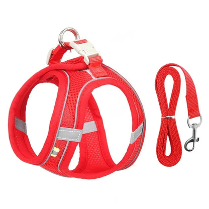 Puppy Harness Set. Adjustable Puppy and Cat Harness Vest. Small Dog Collar Pet Leash