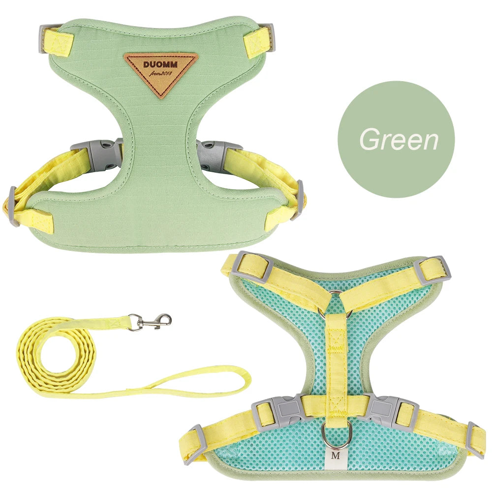 Cat/Puppy Outdoor Walking Supplies. Fashion Pet Harness and Leash Set for Small Dogs/Cats. Breathable, Durable Kitten Harnesses