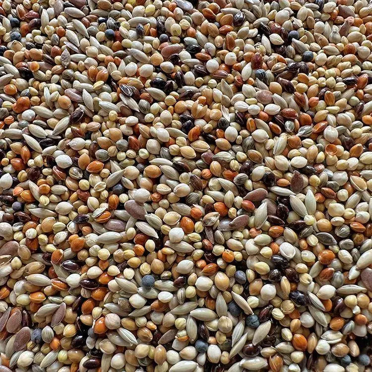 Premium Pet Parrot Bird Seed & Pigeon Food. Selective Wild Bird Supplies.