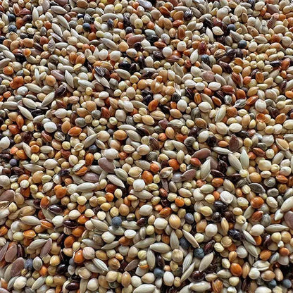 Premium Pet Parrot Bird Seed & Pigeon Food. Selective Wild Bird Supplies.