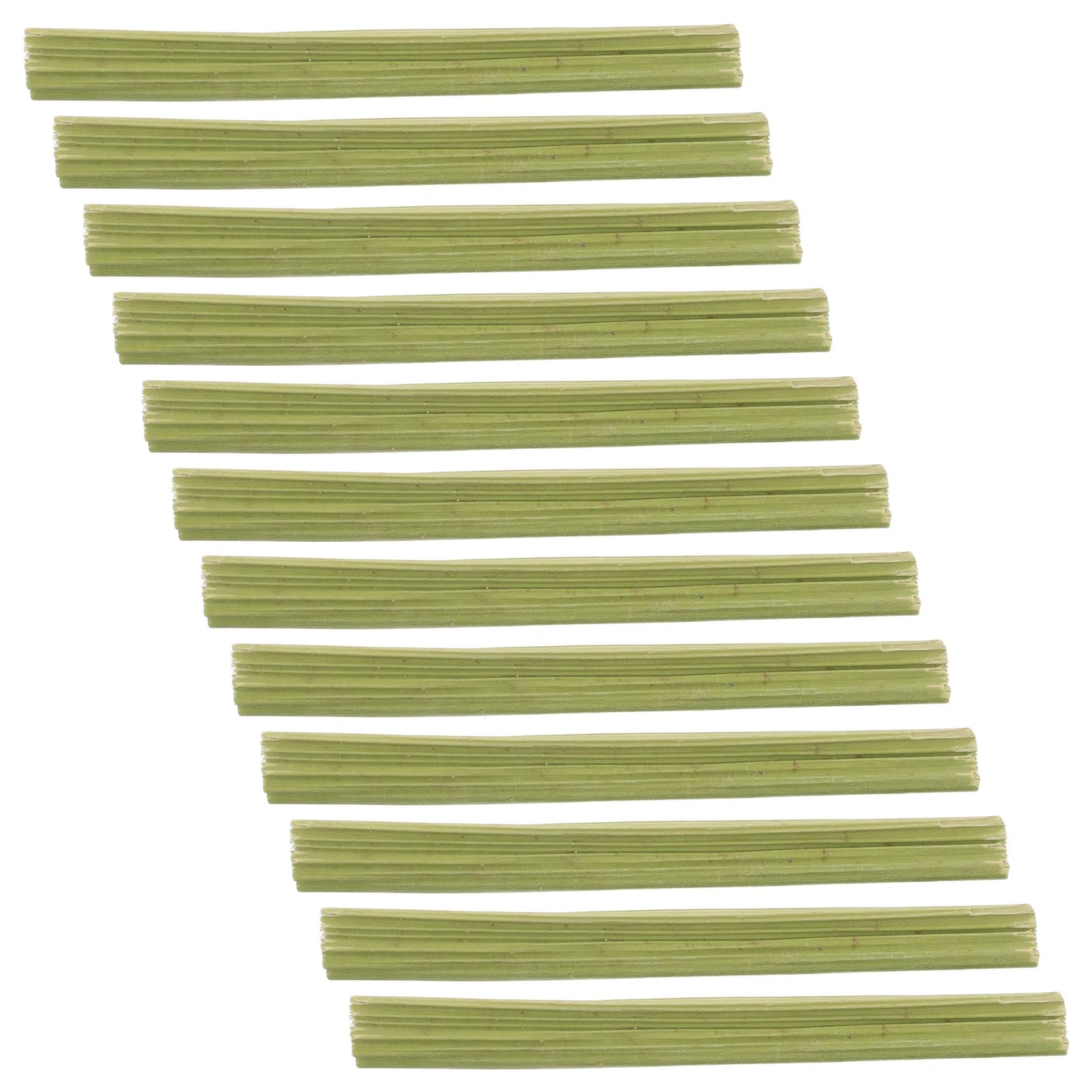1 Set Papaya Stem Chew Sticks. 100g Natural Treats for Rabbit, Hamsters, Chinchillas, Guinea Pigs & Small Animals. Dental Snack.