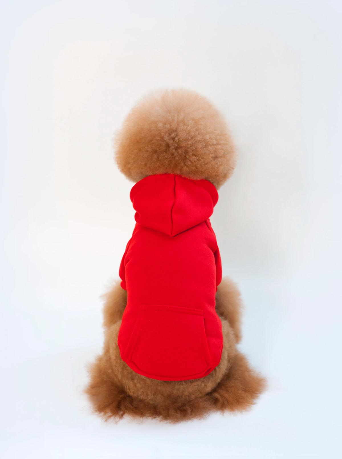 Dog Hoodies for Small Dogs, Spring, Autumn Clothes. Solid Color Sweatshirts with Pocket. Pet Pullover Coat. Puppy/Cat Sport Costume