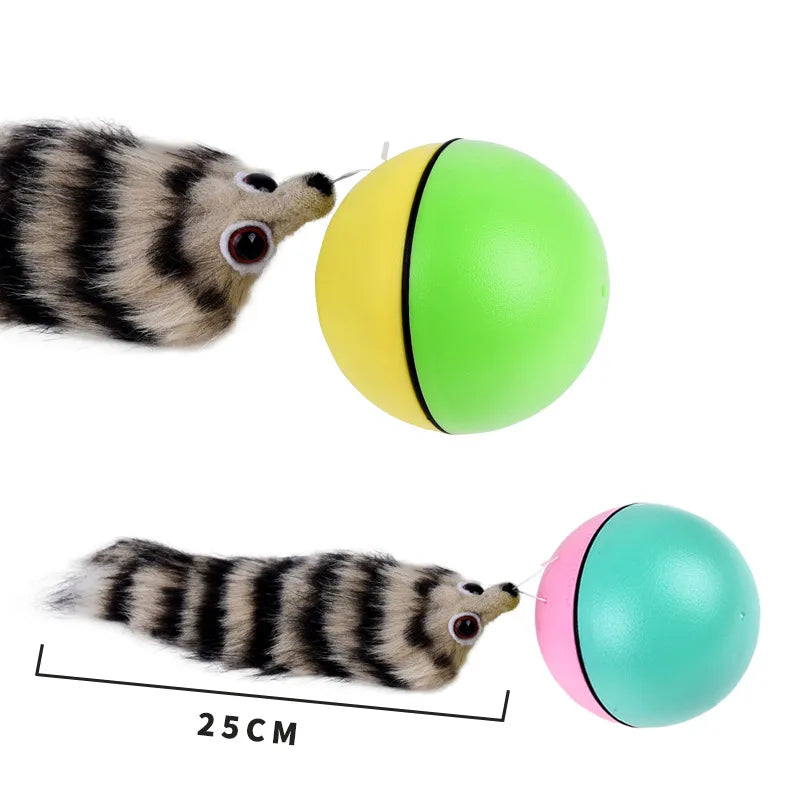 Cat Interactive Ball Toys. Training Beaver Ball Toy.  Electric Beaver/Weasel Toy Rolling Ball, Jump Toys.