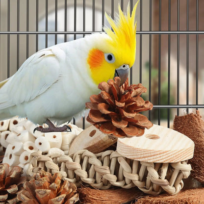 Bird Toys. Parrot Natural Bird Foraging Box. Foot Toys for Parakeets, Cockatiels, Conures, Love Birds and Other Small to Medium Birds