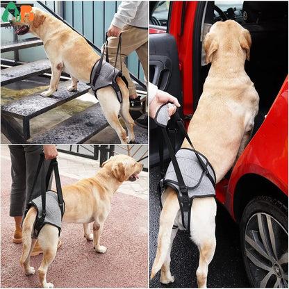 Dog Sling for Dogs.. Hind Leg Support to Help Rehabilitate The Hind Limbs of Elderly Dogs. Weak Hind Legs, Disabilities and Injuries