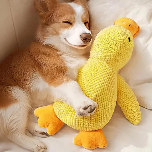 Duck dog toy, chew resistant, durable dog toy with quacking sound. teeth grinding relief. soft companion for small/large dog