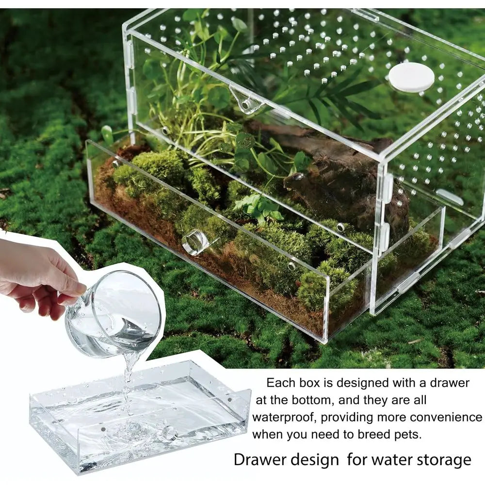 Acrylic Clear Reptile Habitat Enclosure Terrarium with Latch ，Perfect for Amphibians and Invertebrates Such as Spiders, Frogs, e