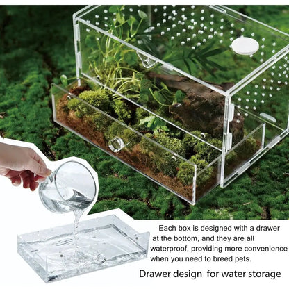 Acrylic Clear Reptile Habitat Enclosure Terrarium with Latch ，Perfect for Amphibians and Invertebrates Such as Spiders, Frogs, e