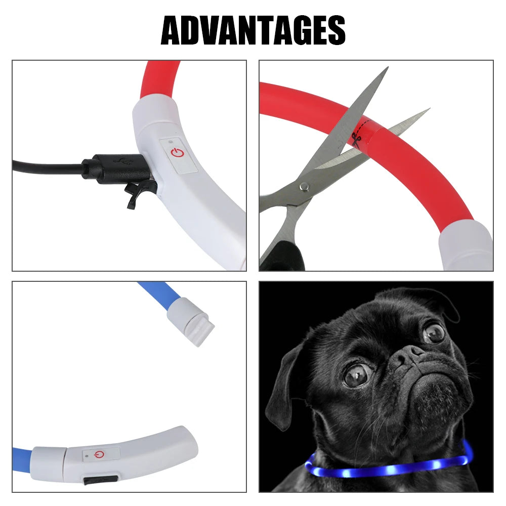 Dog Loss Prevention Led/Usb Dog Collar. Pet Accessories. Night Safety, Flashing Glow  Collar. Night Luminous Charge Collar