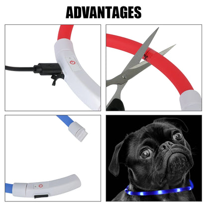 Dog Loss Prevention Led/Usb Dog Collar. Pet Accessories. Night Safety, Flashing Glow  Collar. Night Luminous Charge Collar