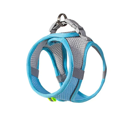Puppy Harness Set. Adjustable Puppy and Cat Harness Vest. Small Dog Collar Pet Leash