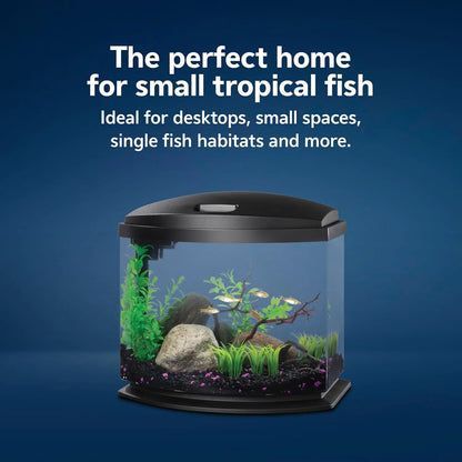 5 Gallon Small Aquarium Fish Tank Kit with LED Light and Easy-Clean Filter, Black