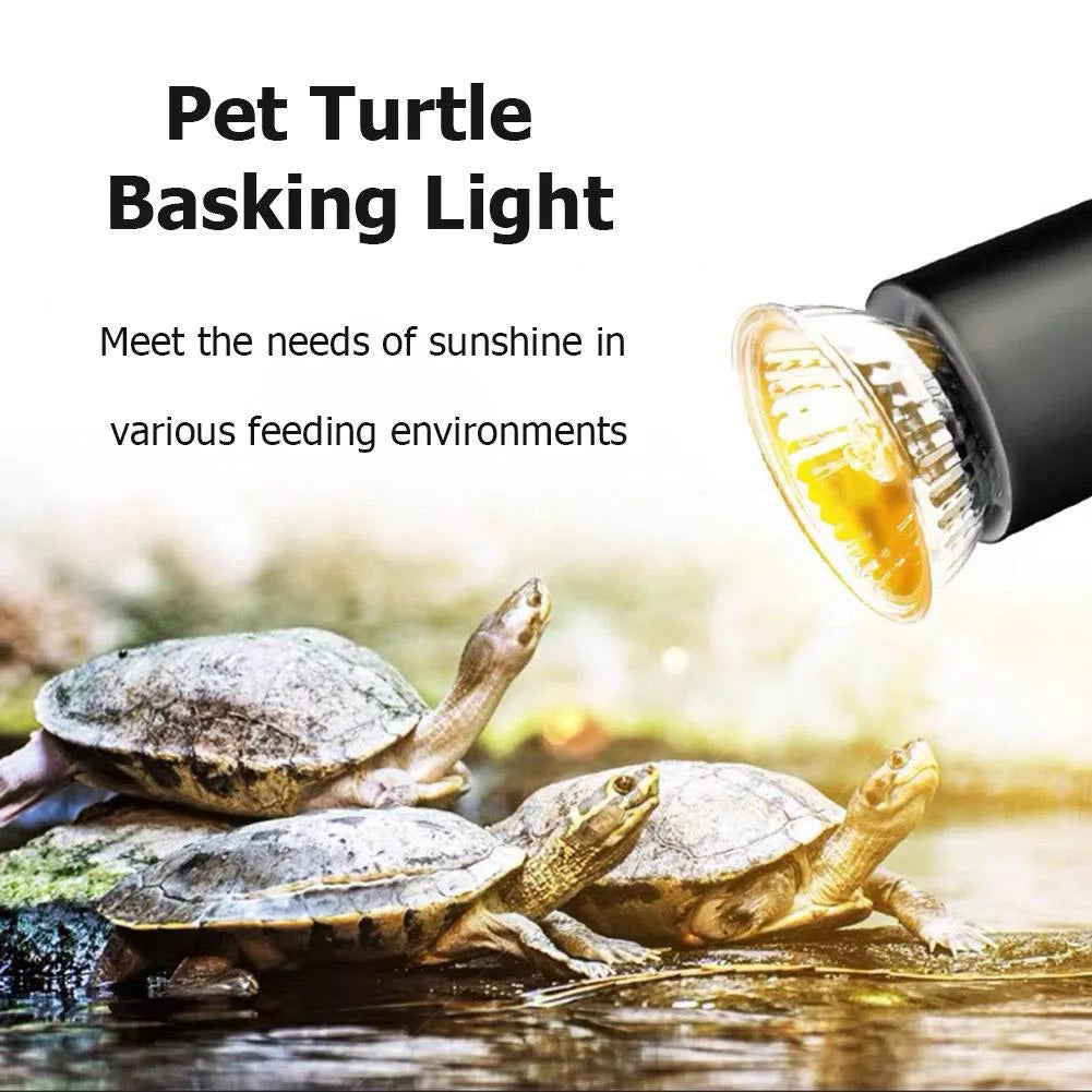 5/10/15/20PC 25W Reptile Heating Light Bulb. Full Spectrum Basking UV Lamp for Turtle, Snake, Lizard & Amphibians Temperature Control