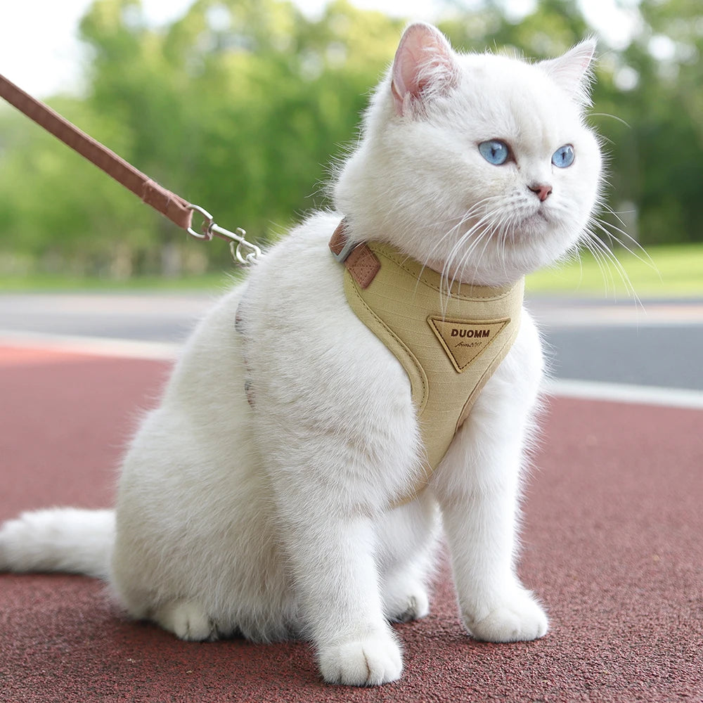 Cat/Puppy Outdoor Walking Supplies. Fashion Pet Harness and Leash Set for Small Dogs/Cats. Breathable, Durable Kitten Harnesses