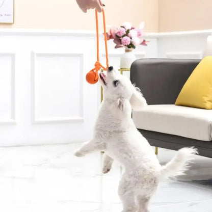 Dog Training Ball on Rope. Cotton Rope Ball. Nontoxic, Durable Interactive Dog Toy for Big/ Small Dogs. Catching/Throwing /Tugging