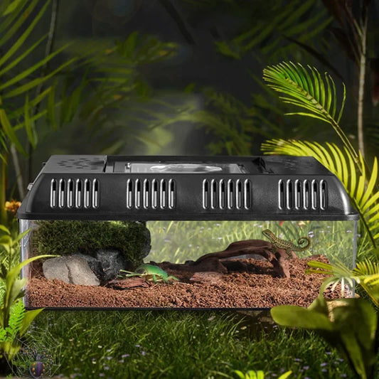 Outdoor Reptile Pet Breeding Box. Crawling Pet Feeding Box. Lizard, Silkworm, Scorpion, Beetles. Insect Box Pet House, Acrylic Cage