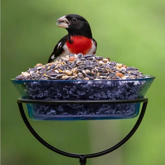 【Spot goods】Extreme Variety Wild Bird Seed for Outside Feeders 15-lb. Bag