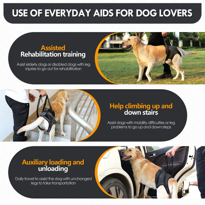 Dog Sling for Large Dogs. Hind Leg Support to Help Rehabilitate The Hind Limbs of Elderly Dogs with Weak Hind Legs & Disabilities