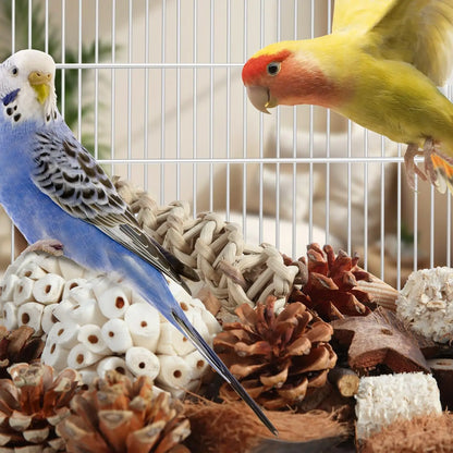 Bird Toys. Parrot Natural Bird Foraging Box. Foot Toys for Parakeets, Cockatiels, Conures, Love Birds and Other Small to Medium Birds