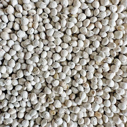 Premium Pet Parrot Bird Seed & Pigeon Food. Selective Wild Bird Supplies.