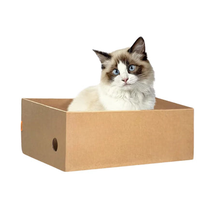 4 Pack 1 Cat Scratching Post Cardboard Box for Indoor Cats, Cat Scratching Mat for Cats & Kittens