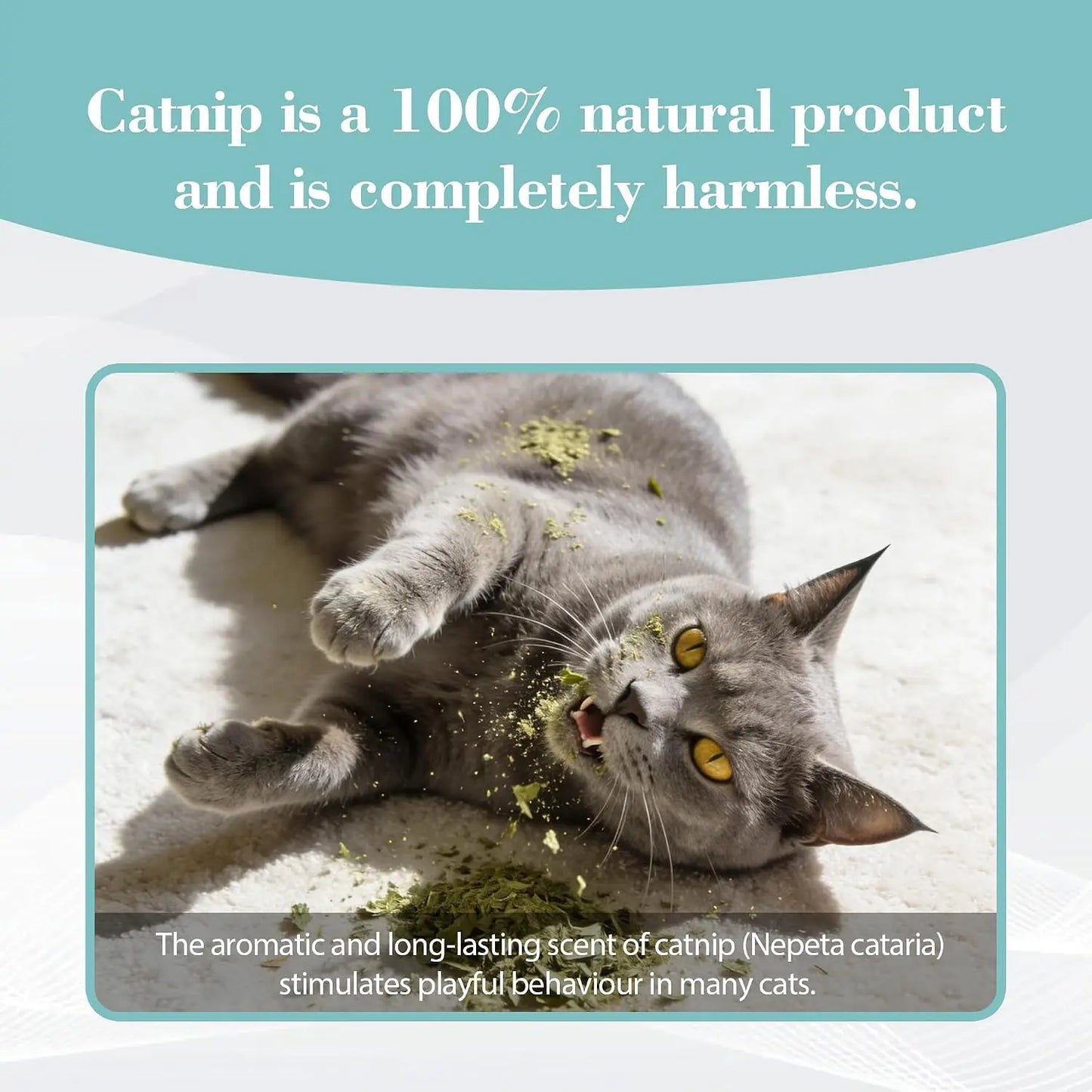Catnip for Cats. Natural Dried Cat Mint Leaves. 20g Organic Catnip Treat. Relieves Stress Encourages Play. Kitten Toys