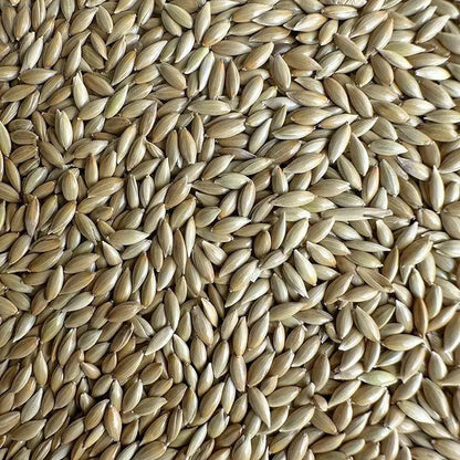 Premium Pet Parrot Bird Seed & Pigeon Food. Selective Wild Bird Supplies.