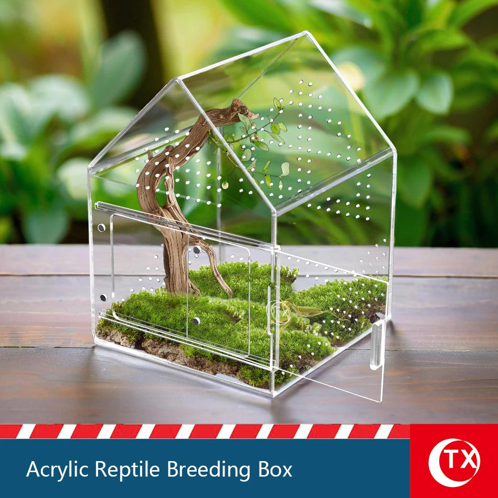 House-Shaped Acrylic Reptile Breeding Box. Transparent Pet Habitat for Spiders, Lizards & Insects. Magnetic Door & Breathable