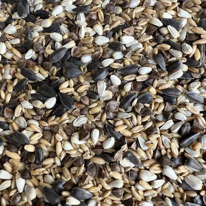 Premium Pet Parrot Bird Seed & Pigeon Food. Selective Wild Bird Supplies.