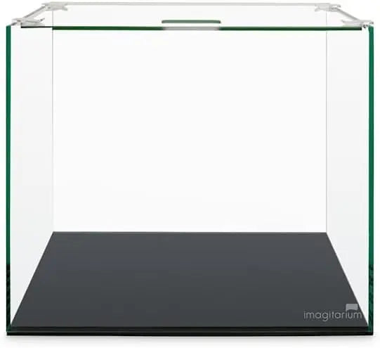 5-Gallon Frameless Glass Betta Aquarium Kit with LED Lights and Filter