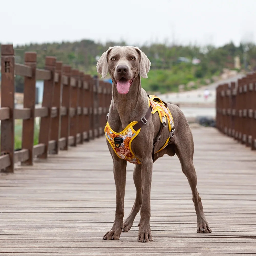 NO PULL Pet Dog Harness.  Adjustable, Reflective Chest Vest For Small & Large Dogs. Protective Outdoor Training