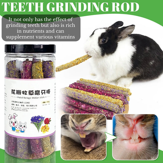 Rabbit Snacks Petal Grass Snacks And Grinding Teeth Sticks. Rabbit & Hamster Toys/Snacks