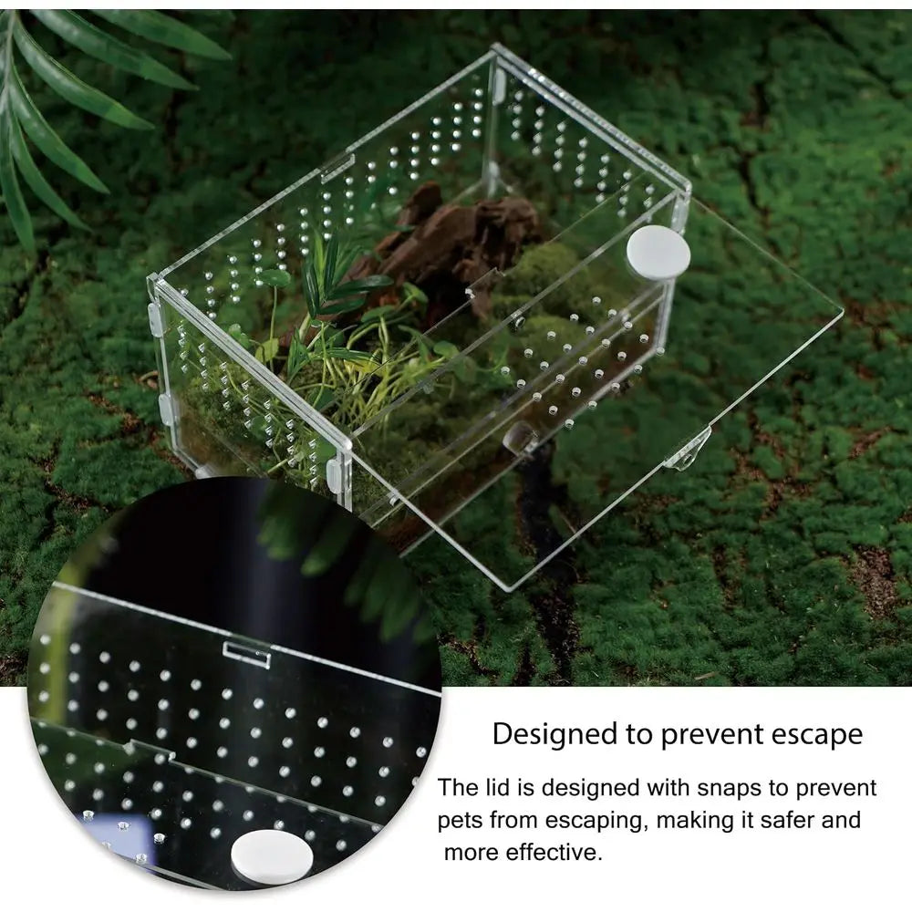 Acrylic Clear Reptile Habitat Enclosure Terrarium with Latch ，Perfect for Amphibians and Invertebrates Such as Spiders, Frogs, e