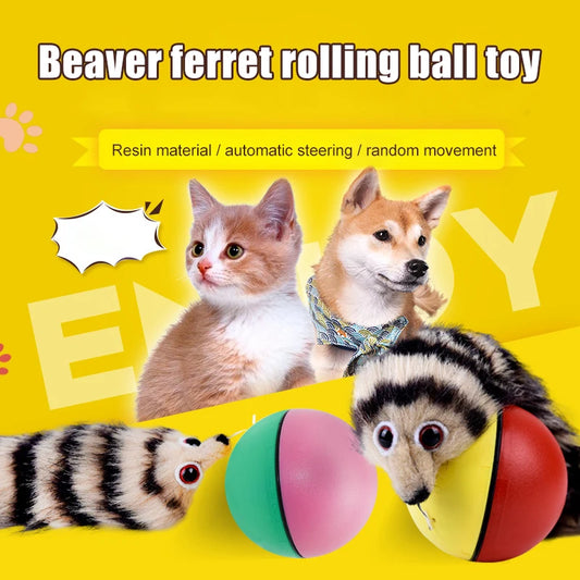 Cat Interactive Ball Toys. Training Beaver Ball Toy.  Electric Beaver/Weasel Toy Rolling Ball, Jump Toys.