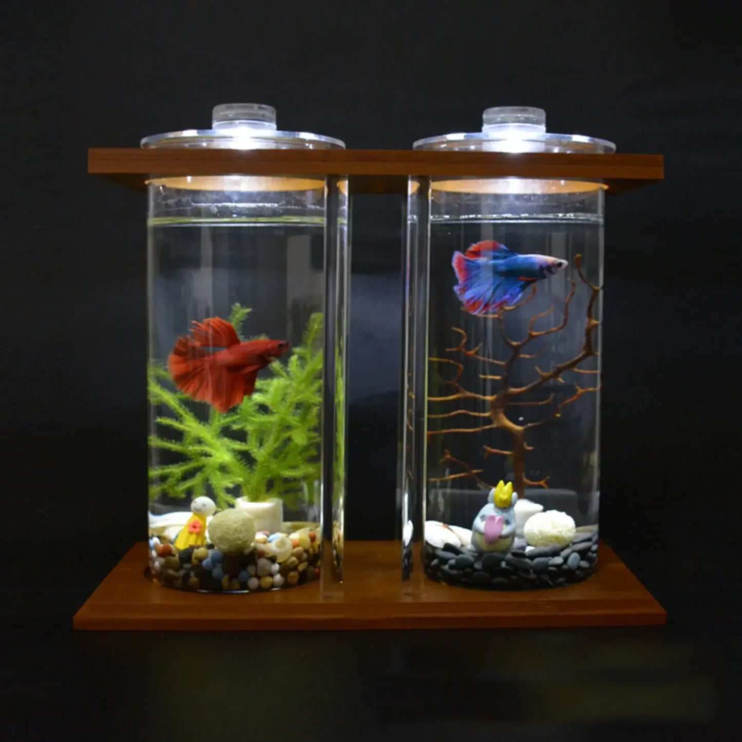 Glass Betta Fish Tank with LED Light. Bamboo Base ,Mini Aquarium Set for Desktop Home Office Decoration 2 Tanks