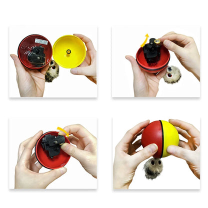Cat Interactive Ball Toys. Training Beaver Ball Toy.  Electric Beaver/Weasel Toy Rolling Ball, Jump Toys.