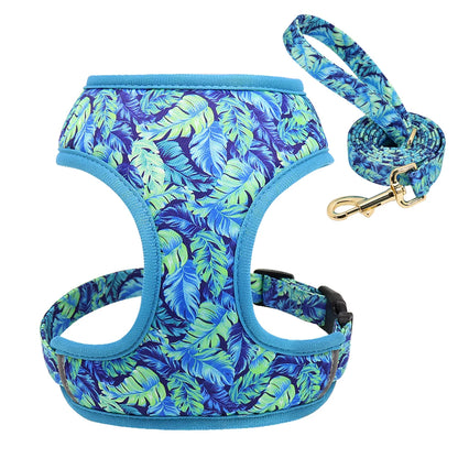 Cute Printed Dog Harness Leash Set. Soft Mesh Puppy or Cat Harness. Adjustable Walking Lead For Small & Medium Dogs & Cats