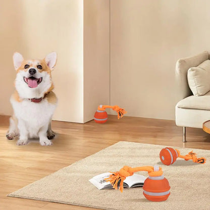 Pet Ball for Dogs. Interactive Toys. Motion Activate Rolling Ball for Puppy/Small Dogs. Automatic Moving Toy. USB Rechargeable Toy